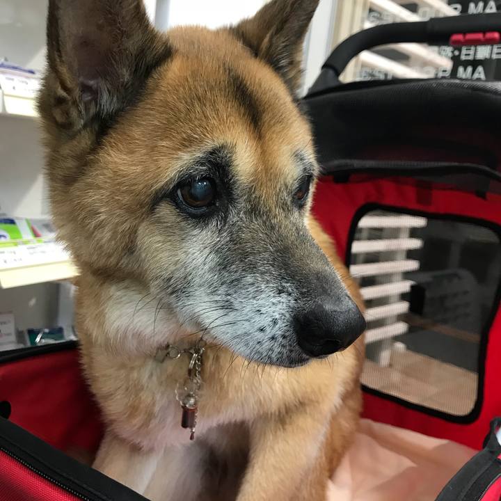 Da2b4313 dddf 43c6 943a f65af54f5c6e 1538127057150