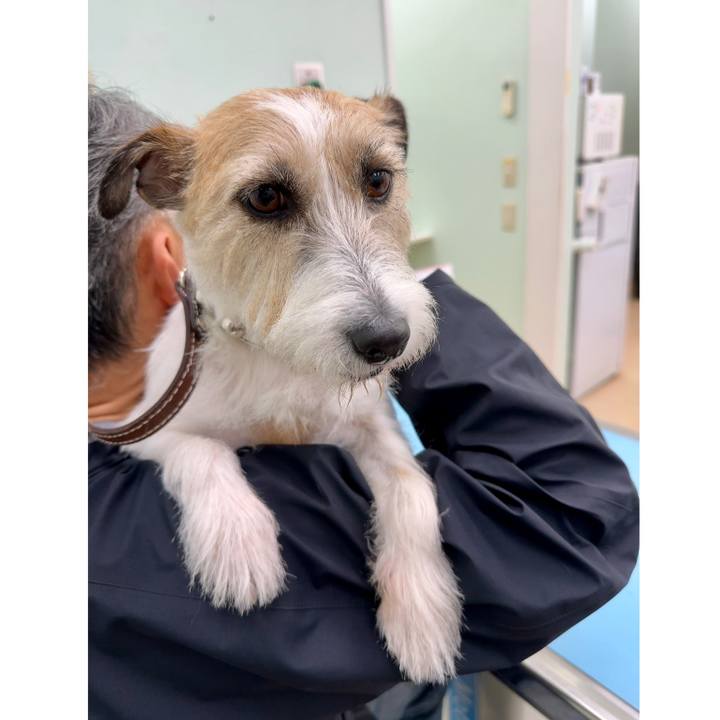 Da2b575c ef67 4dc8 87b8 dd5ebbdbcb54 1748599748198