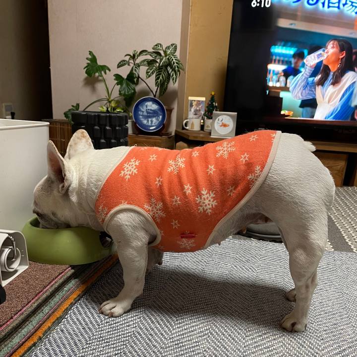 Da2b6648 e1df 46c3 aa3a 790209701345 1734219867743