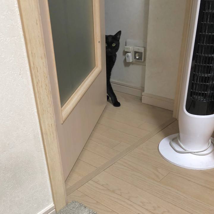 Da2b75c5 1c52 47ed 9bed 866bbe3428f1 1599572383072