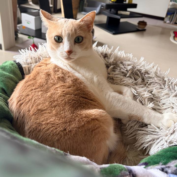 Da2b8a31 84cd 4c04 826f 92a38e451202 1767396288395