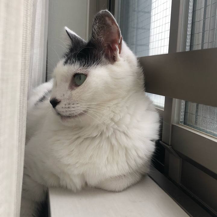 Da2b9279 e142 4191 9d27 d62c2c896a34 1599978486244