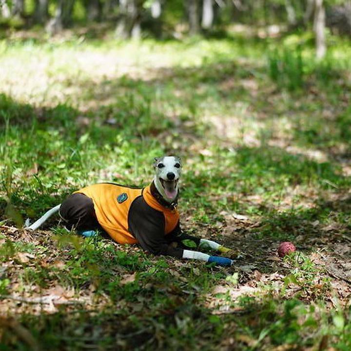 Da2ba573 7e44 472a a961 a4fc94f13a67 1529762393676