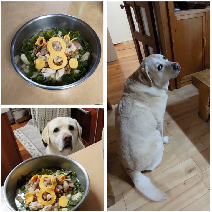 Da2bbc25 d725 4dae 9b62 ff58e09f509c 1708680740566