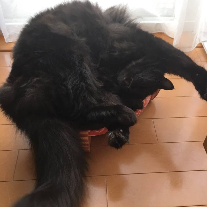 Da2bca55 e7fa 437f a0dd b26af290f291 1531111661481