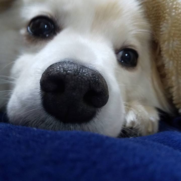 Da2bcbe3 4c1c 4eda ab18 3d6401707e73 1637026657822