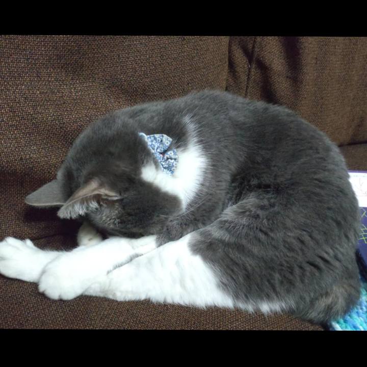 Da2c1439 0881 4d64 a451 4d19ecf8dbcd 1768394275646