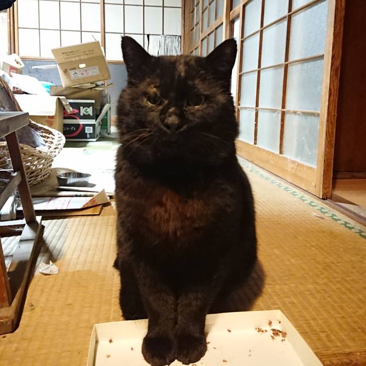 Da2c2587 d0ba 4ca6 a6e2 9bb6bf97e0a4 1617290363106