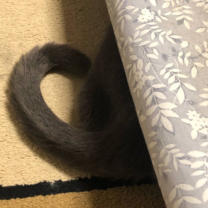 Da2c2bdb 657b 4cc0 9ff6 512cfb9874d2 1562478048458