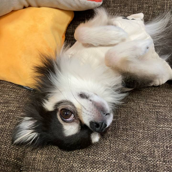 Da2ca55b 9763 4176 891c d7921f3a7de3 1702744221910