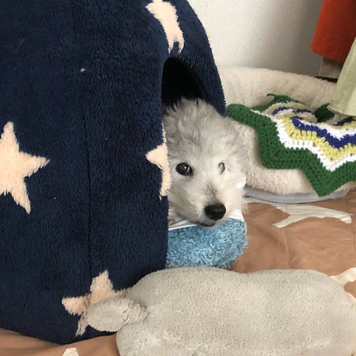 Da2cc1fc c006 48cb 9b48 c77b93d6b1bc 1594599147992