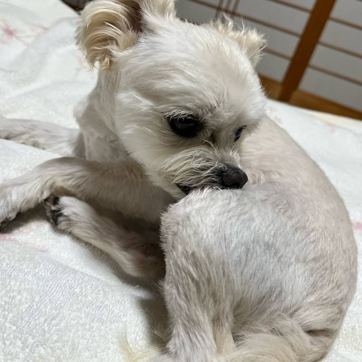 Da2cc5c8 f354 47dc b1e5 df7cef34dbfc 1655116406836