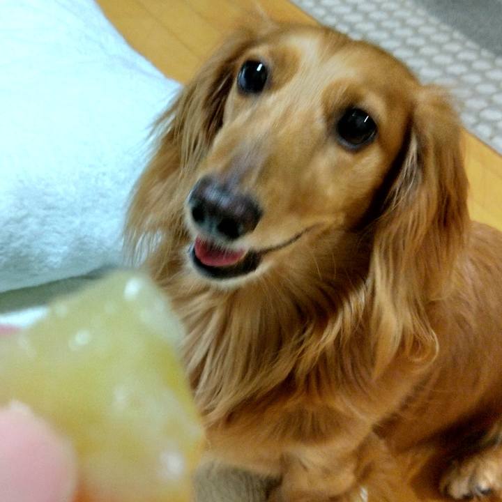 Da2d0086 a3cc 4645 a19f cb0b676ec2a2 1658922649403