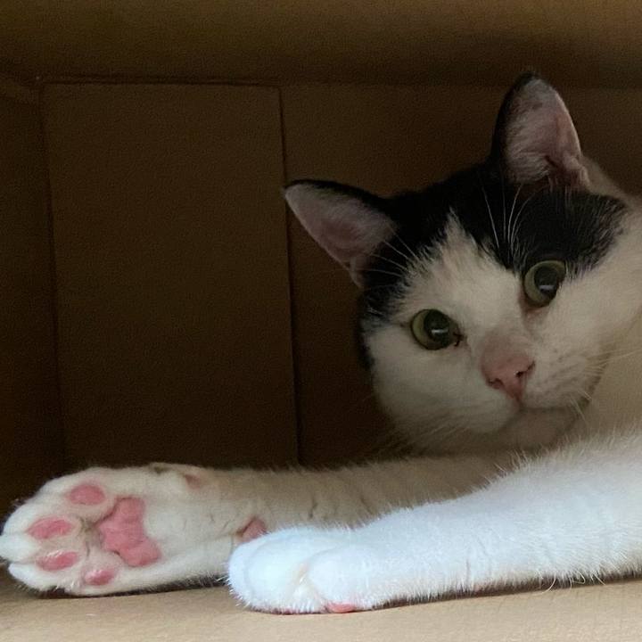 Da2d2616 95c3 438d 8ff9 dafe72f3e113 1595594170621