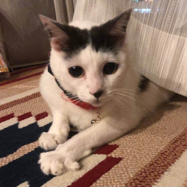 Da2d737d 4d25 432f bed2 a81f9953cd94 1530540067215