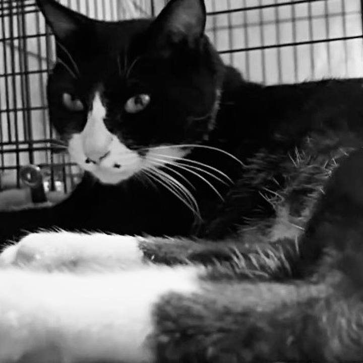 Da2d8692 9043 4612 b1a2 90dcab44bdcc 1759919717457