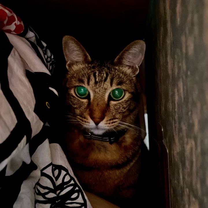 Da2d9990 9ae9 4aae bf44 0d6371671376 1666710513878