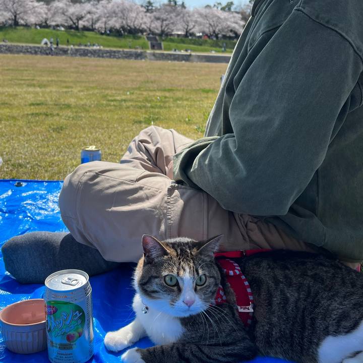 Da2db840 42fe 49aa 848f 30cb72cec07e 1742790268590