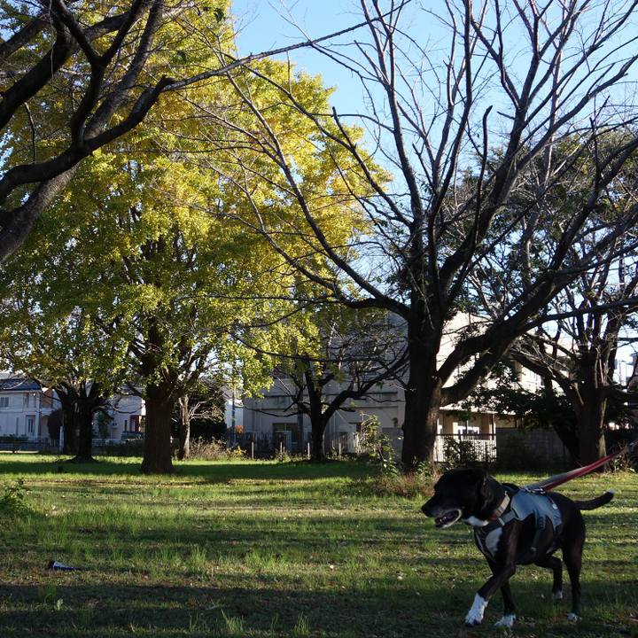 Da2ddd84 ee77 435e 8d70 4647f685daa3 1732495729093