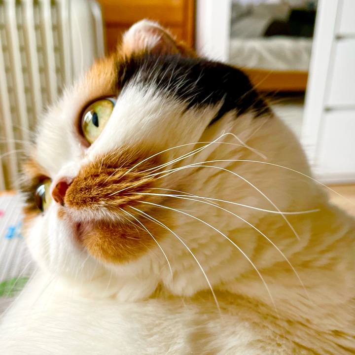 Da2de2b1 7444 4bdc 85ef 3984b2706599 1649928847209