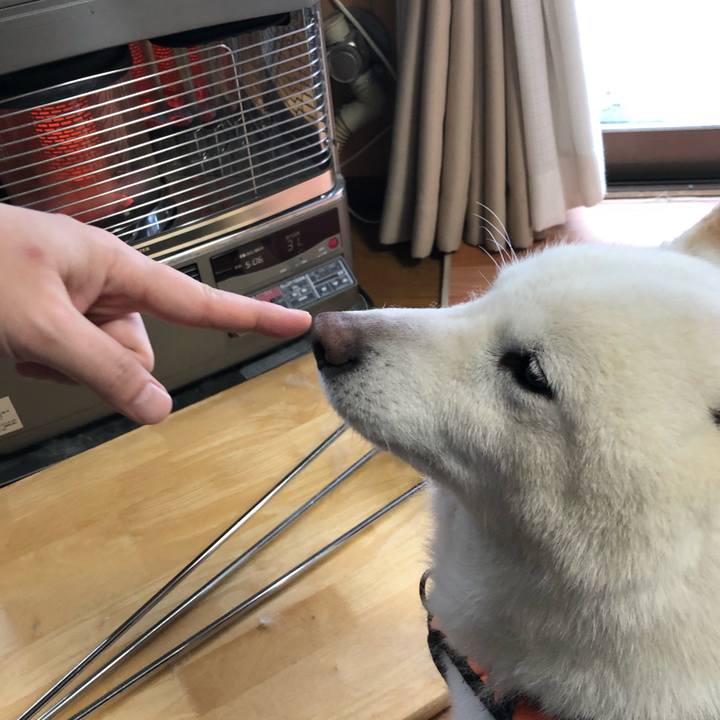 Da2df81b fdd2 4865 942b 6264ec7d9919 1649370163085