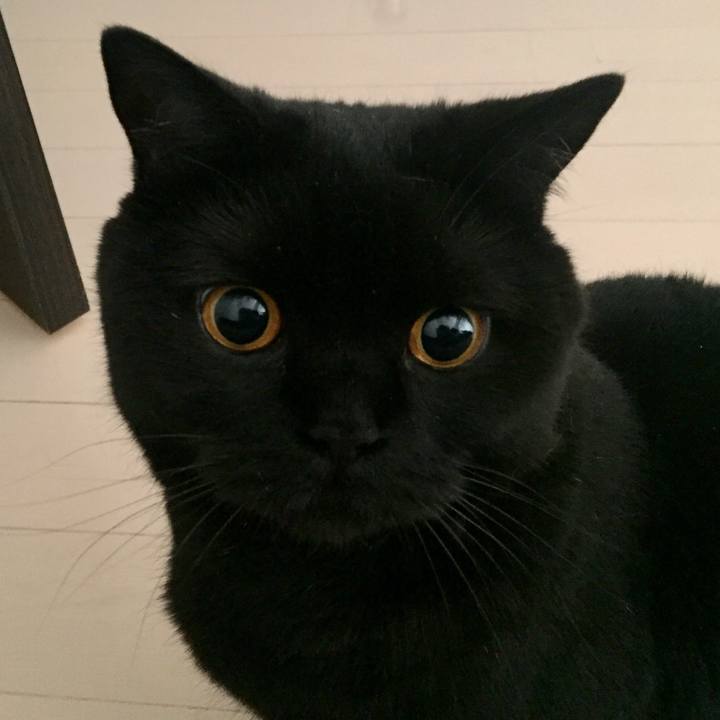 Da2dfafc 493d 4ec7 a19e ebd446fb1177 1560691440784