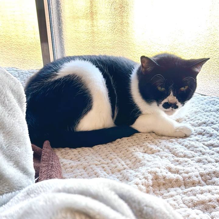 Da2e2f94 2204 4715 af8b cf24cefe1103 1762258929014