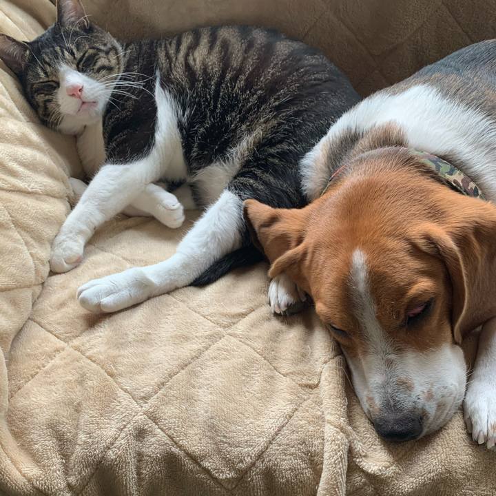 Da2e43a9 e3d8 415e 9ced 236b107c307a 1607647860013