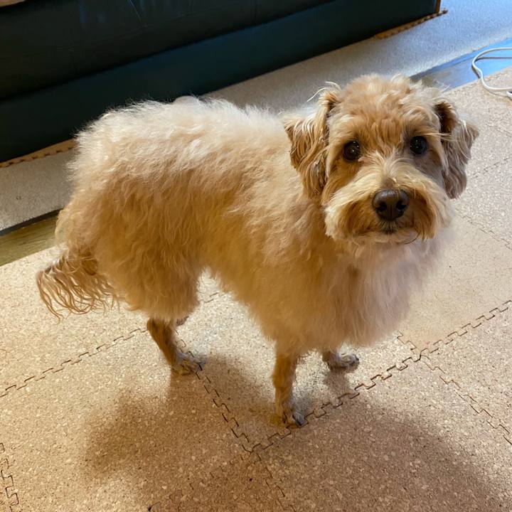 Da2e466c 12b0 4c05 a801 179d8ff0ceed 1636254199403