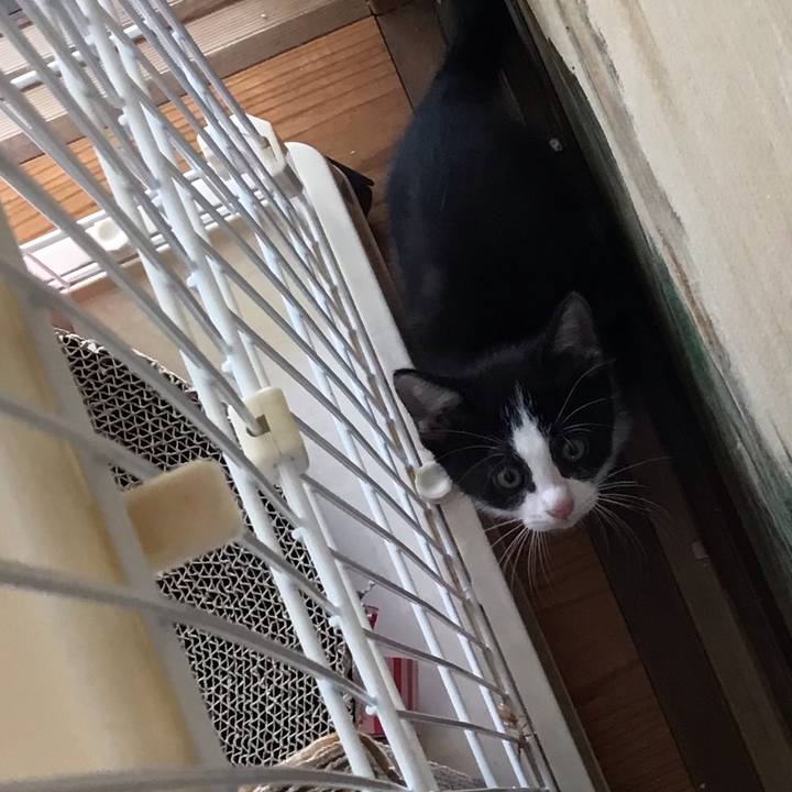 Da2e526b 32c6 4f02 9686 dd0c8f850d7a 1624430979586