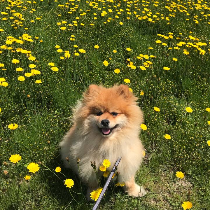 Da2e7190 679c 4736 942e a4b8034bdf66 1524366094050