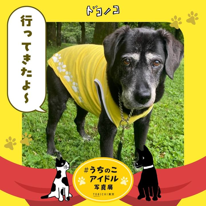 Da2e8eb3 5027 4590 a4cb a92df16e60ea 1761148553513