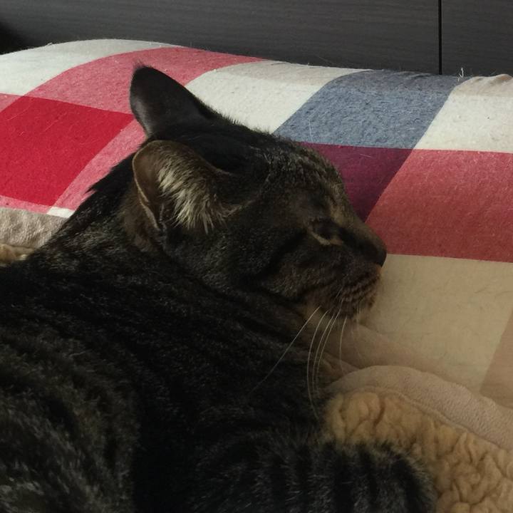 Da2ee9e9 4446 4906 8565 c6e932a5326e 1522327606715