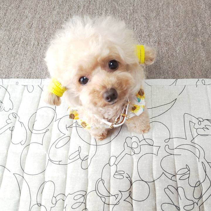 Da2f0023 b1c9 49df b2b8 c7c38e11bd3f 1566565489983