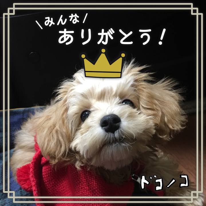 Da2f5e8e cfe4 4ef0 9421 d852e39803e3 1623062426724