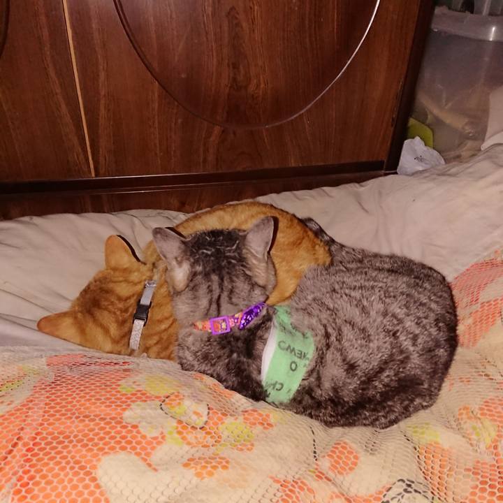 Da2f79a7 c082 4037 b148 a04b6a68dc1a 1587402576264