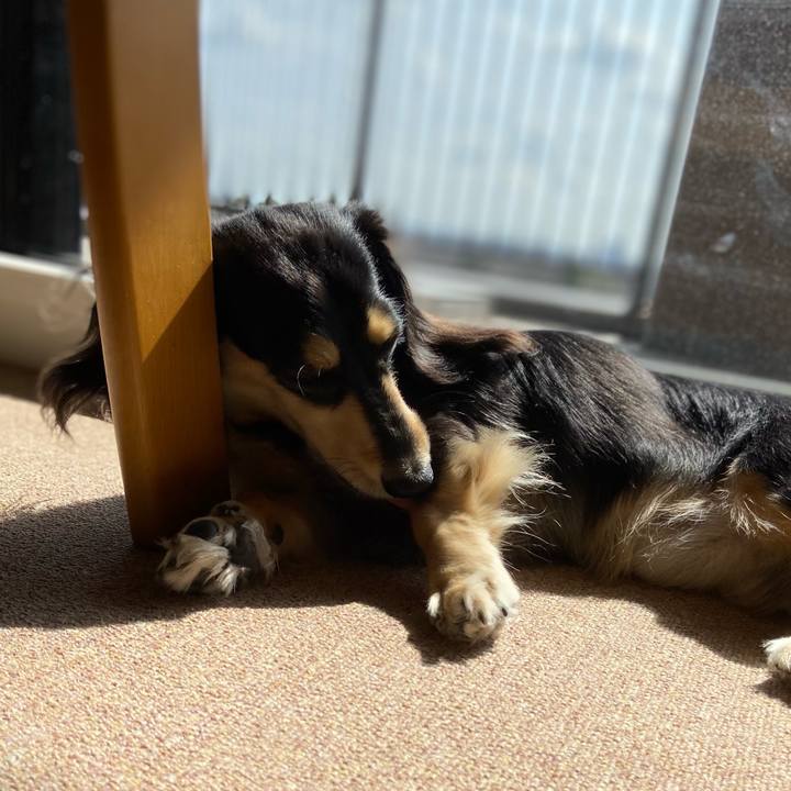 Da2f834c 8b5c 44ed bb0a e49cfa417126 1708399361911