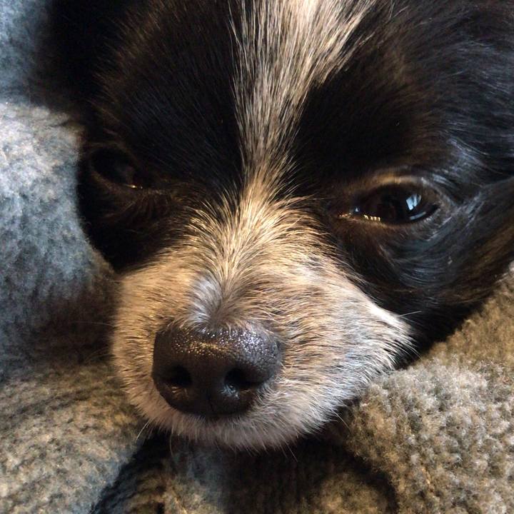 Da2f8927 cd75 45d0 afb9 cb55db849d72 1523428262576