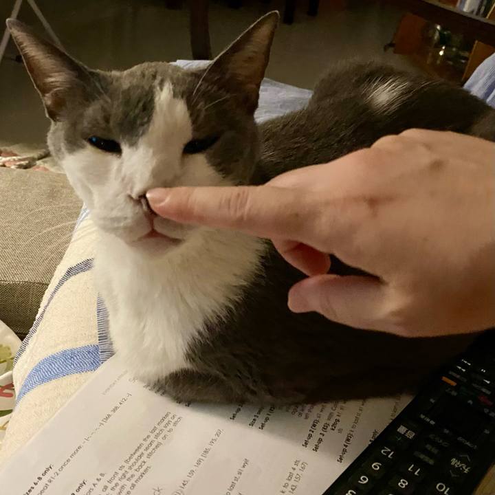 Da2f89d6 9e4b 41fa a505 daea79de90ca 1755960748426