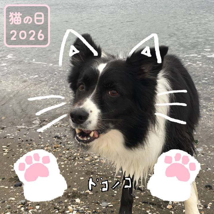 Da2fd59f 1aca 417f 9333 bb6a96be6dcd 1771769667820