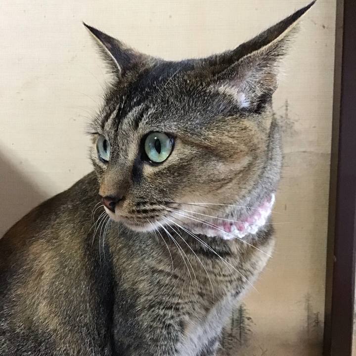 Da2fe50b 3495 428f 80ff 14dc840dadad 1660042354462