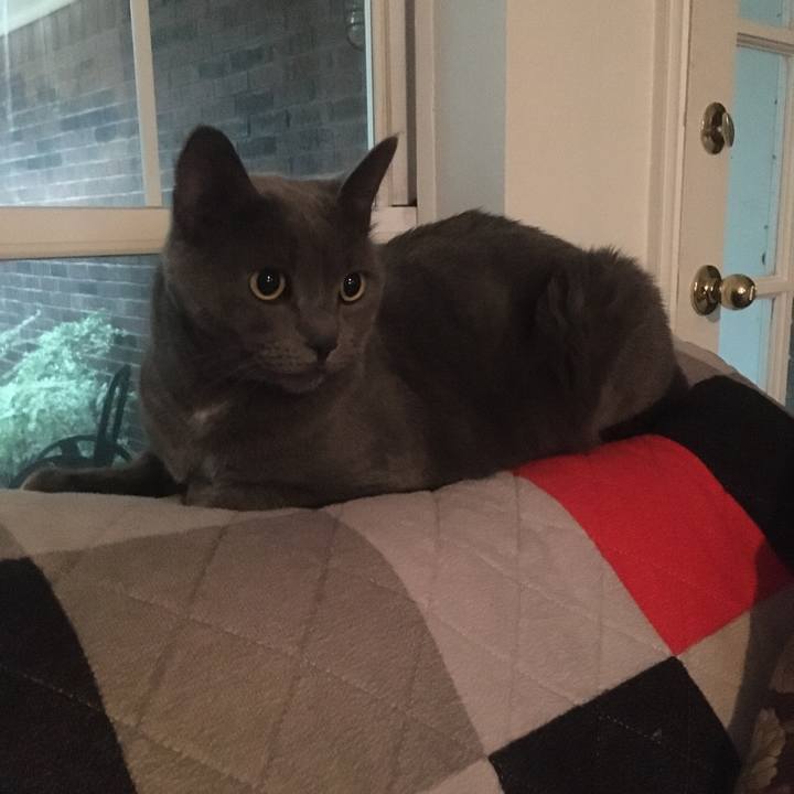 Da2fea44 8c45 4626 9be4 0ab8d9be38c8 1687536099844