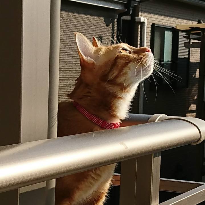 Da301717 ebc8 410d 9d95 3042f3d6c20c 1516532527708