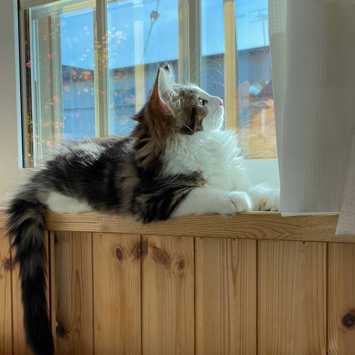 Da301c22 9c3c 4e4d a269 9a3d894124dd 1632549331245