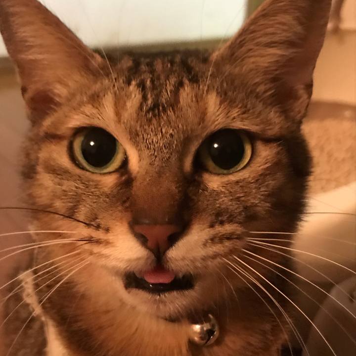 Da30222c c609 4019 acb4 1ad5a7967dff 1581329066298