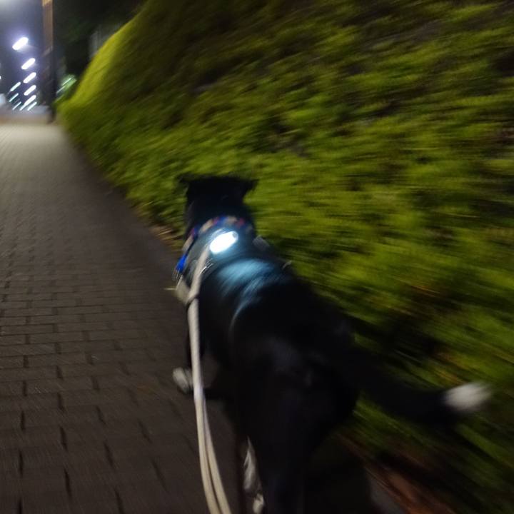 Da302968 70cb 4e1d 855f b8b21fc7dc28 1637406807161