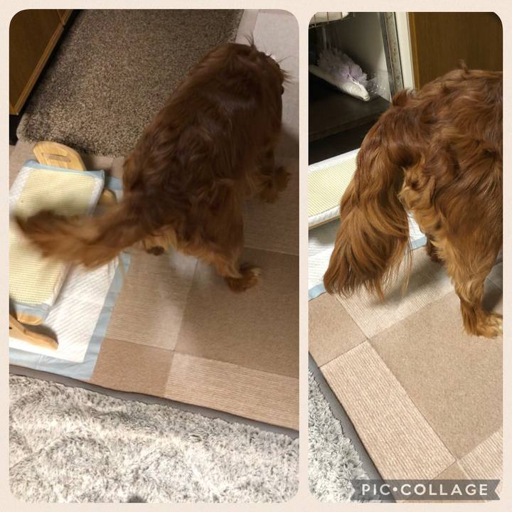 Da302ab4 06c2 413e a52e 27abc05f9b8c 1613802755648