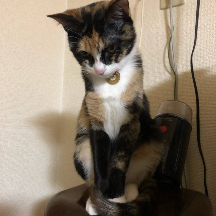 Da302e42 360f 46fd b142 5c48b52916e7 1552477295428