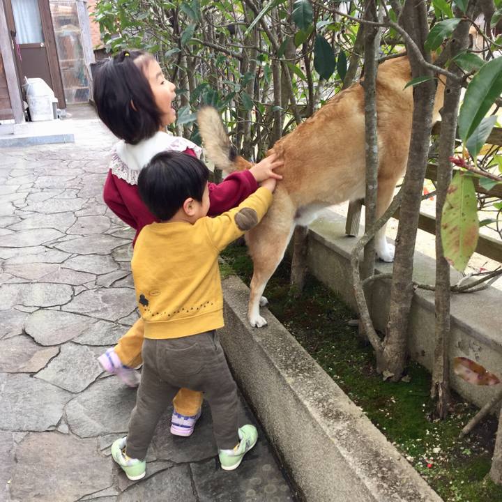 Da303db2 5515 4ac9 a4b4 7793abd5befa 1546409561719