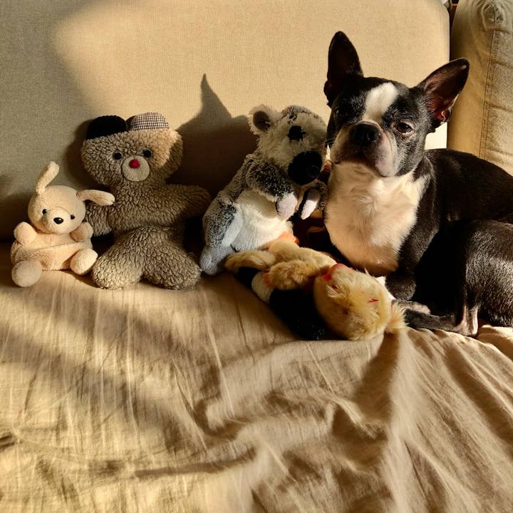 Da304193 77f4 4da3 9f16 b6dcb49fc771 1675814629721